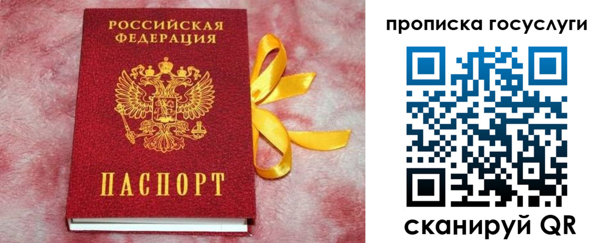 прописка законно в Донецке